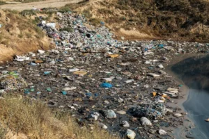 Landfill leachate treatment with activated carbon