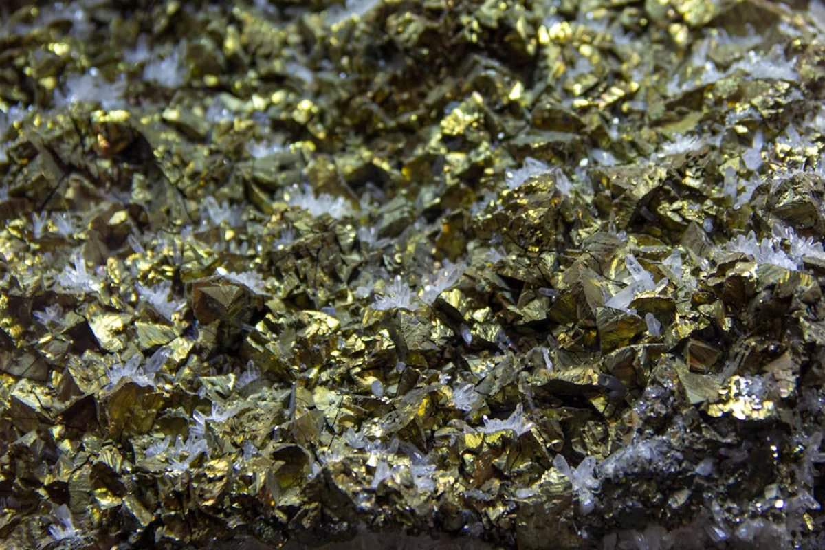 Metal recovery process with activated carbon