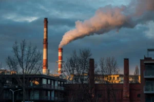 Power plant and incinerator flue gas treatment with activated carbon