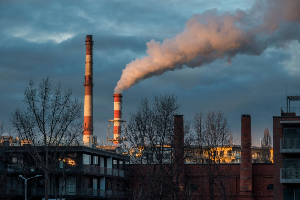 Power plant and incinerator flue gas treatment with activated carbon