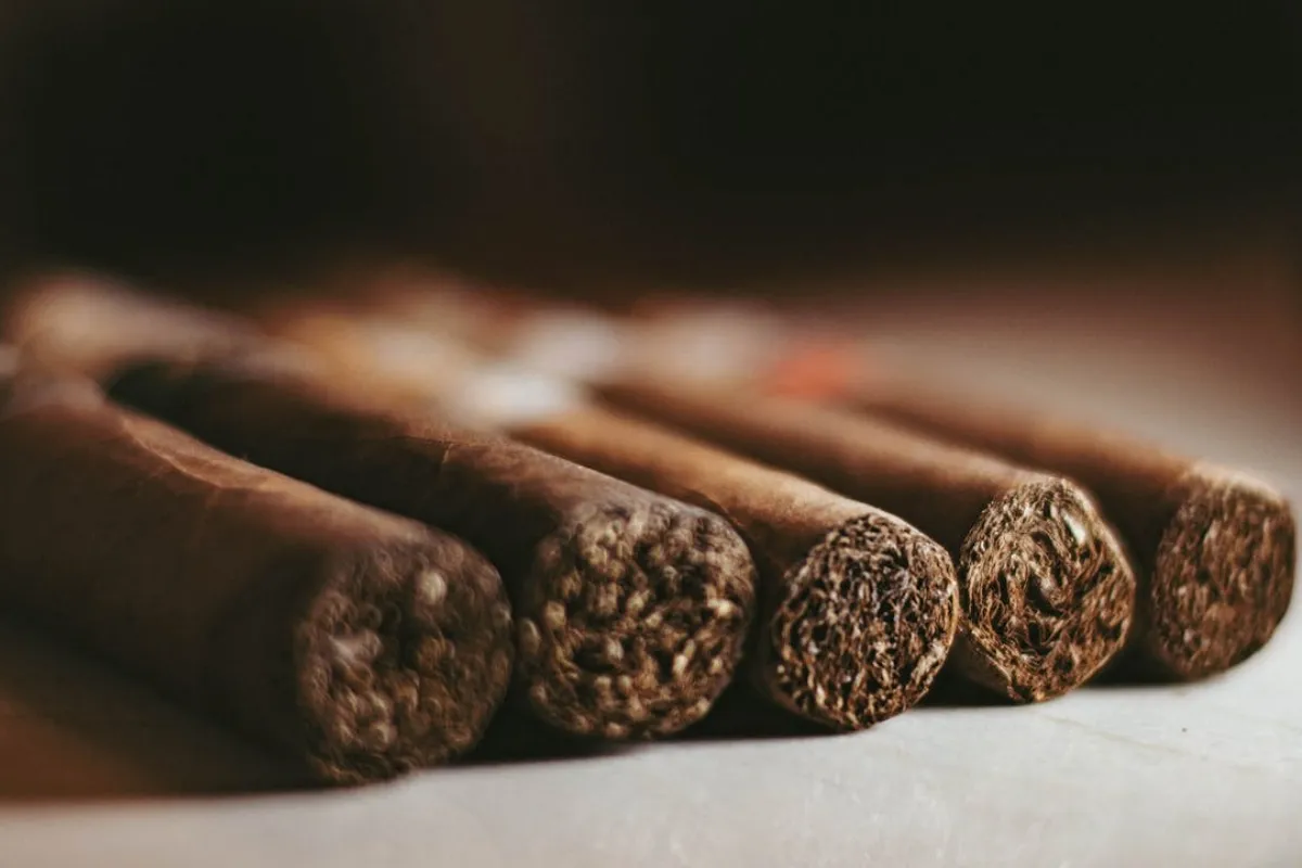 Tobacco processing with activated carbon