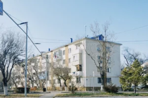 Whole-house water treatment using activated carbon